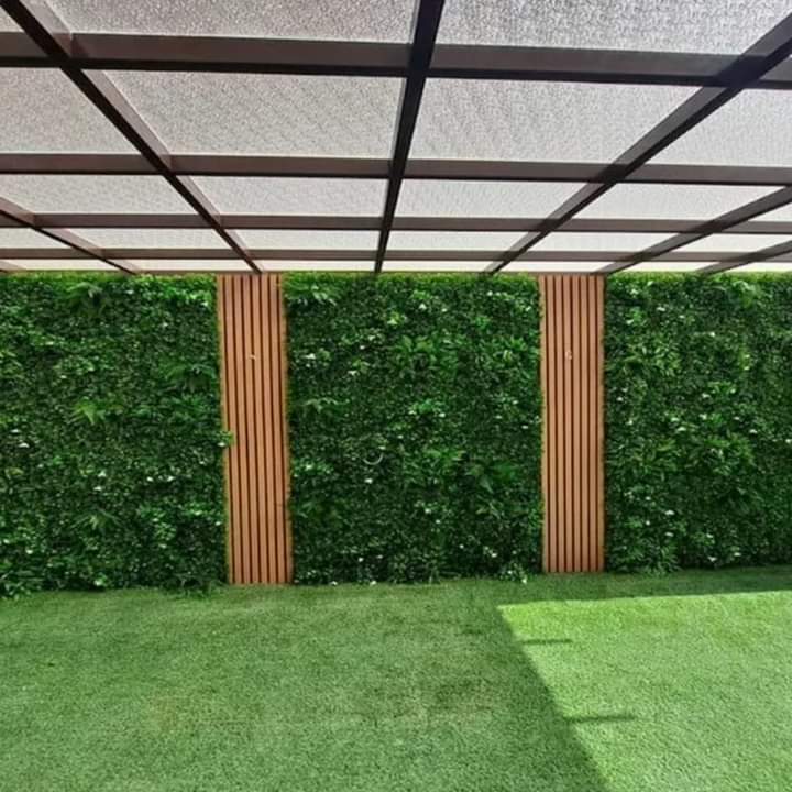 سياج حدائق أخضر الكويت