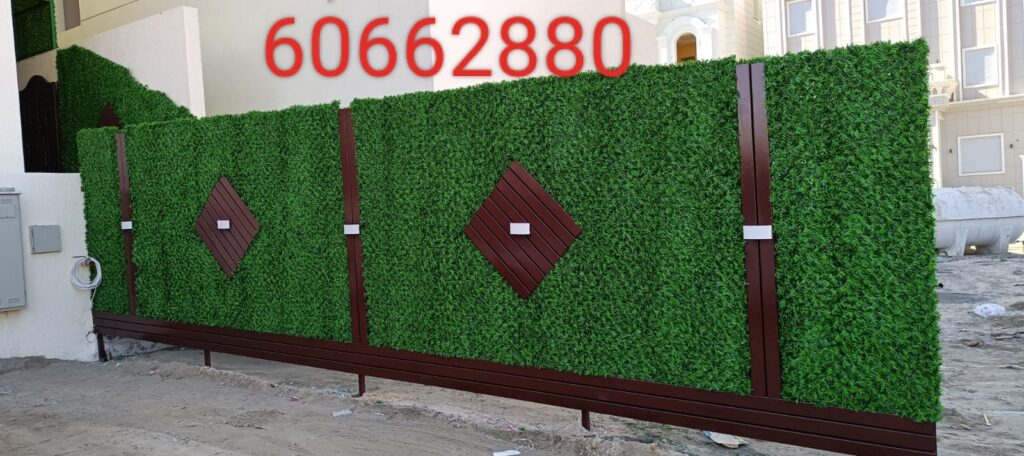 سياج حدائق أخضر الكويت